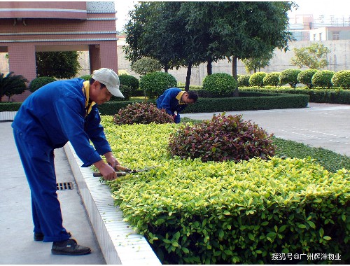 十里桃花绿化工程方案