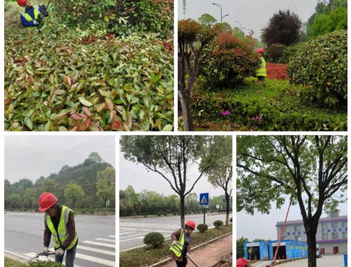 沂南县城市绿化管理办法