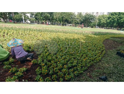 园林绿化工程计算规范