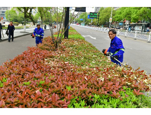 盐城质量绿化工程供应商